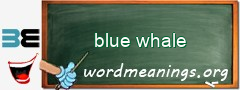 WordMeaning blackboard for blue whale